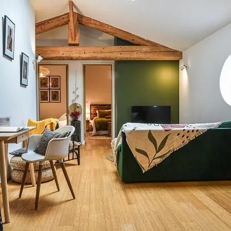 Apartment L'autre Jardin, Centre Historique, Calme, Garage Gratuit Mirepoix (Ariege)
