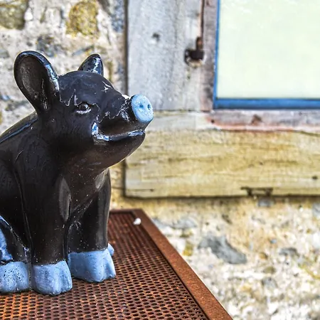 L'Autre Jardin, Centre Historique, Calme, Garage Gratuit * Mirepoix (Ariege)